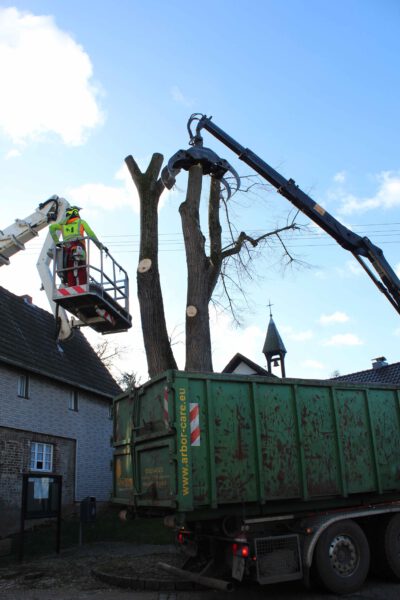Das Schnittgut wird mit einem LKW abtransportiert