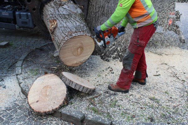 Holzscheiben zum Andenken