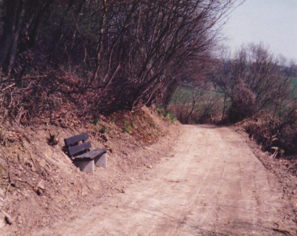 Wanderweg mit Bank