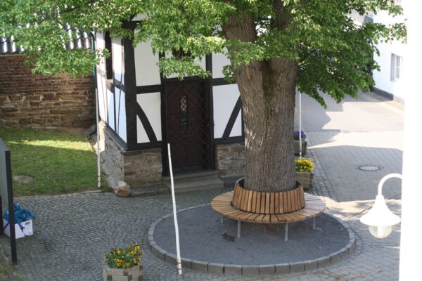 Rundbank an der Dorflinde