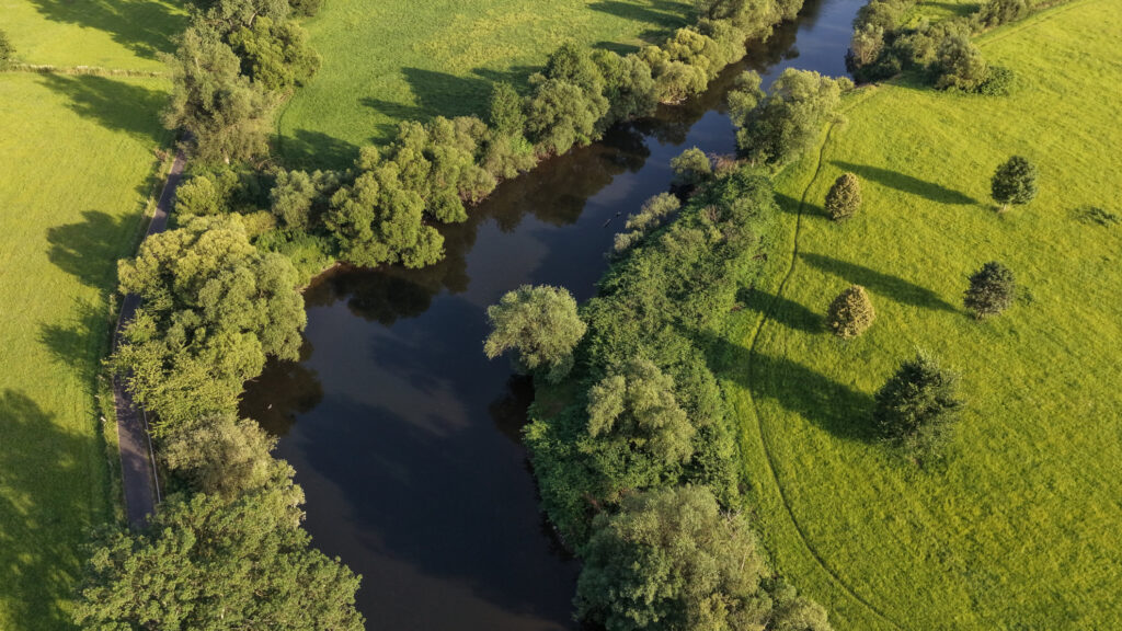 Die Sieg schlängelt sich durch die wunderschöne Auenlandschaft